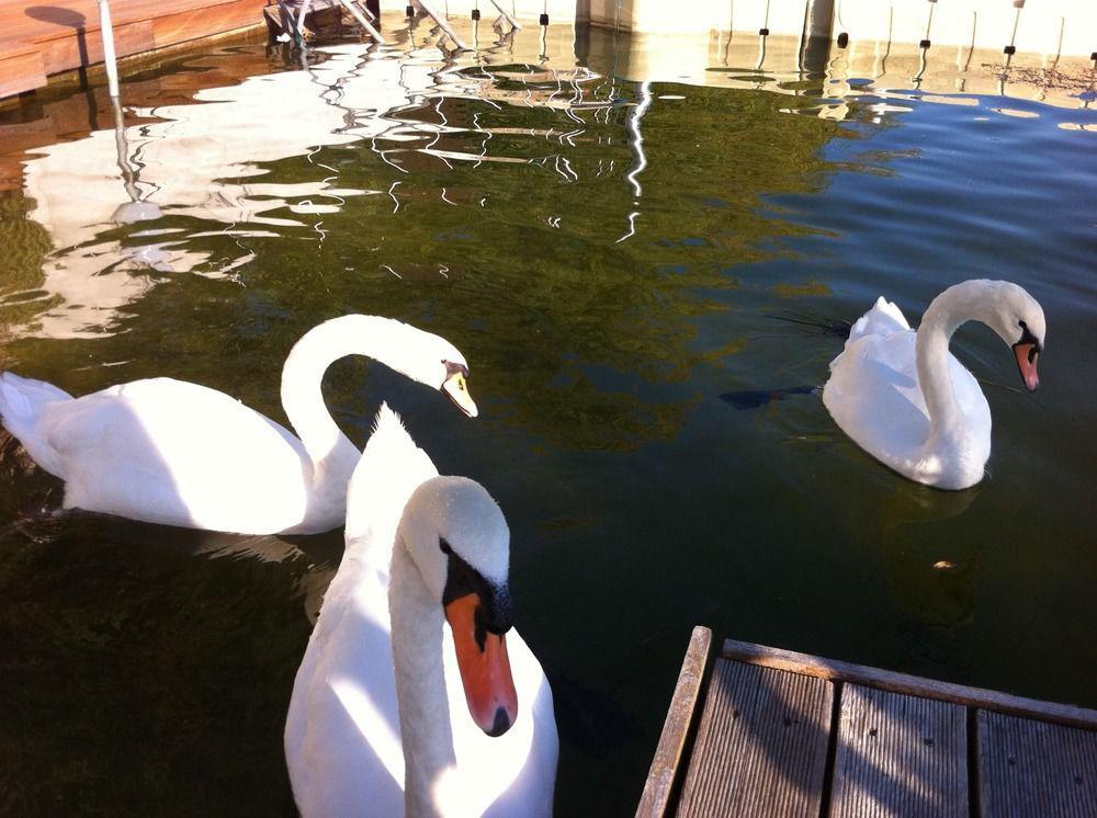 Ajo - Alte Donau Waterfront - Self-check-in Apartment Wien